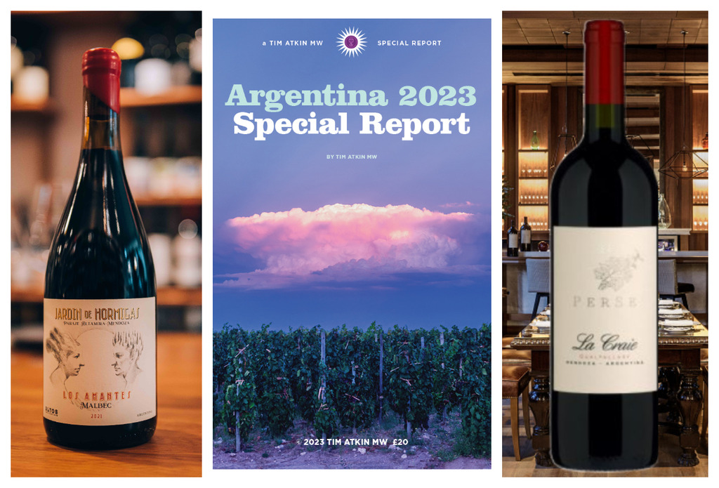 Los mejores vinos de Argentina. Informe Tim Atkin 2023